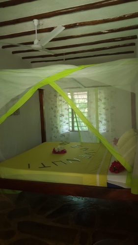 Standard Double room with view