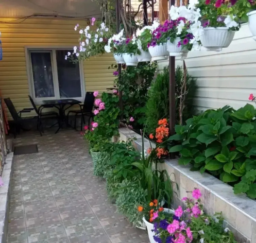 Arina Guest house