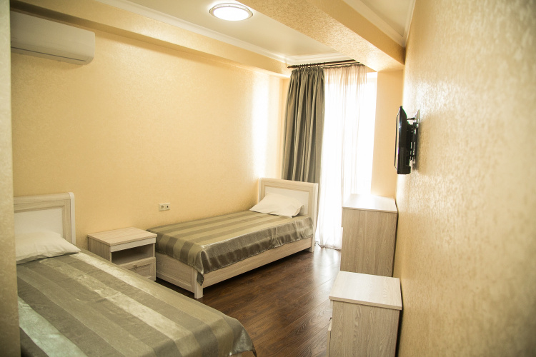 Standard Twin room with garden view