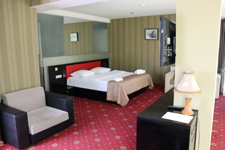 Фотография номера гостиницы Hotel Villa Palace