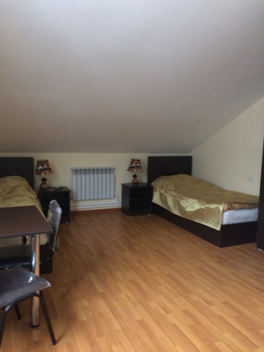 Standard Twin room with view