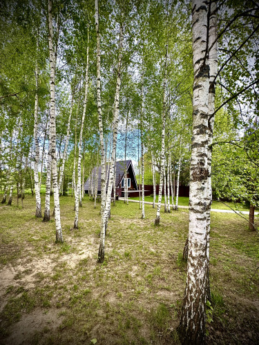 Фотография номера гостевого дома Три лисы