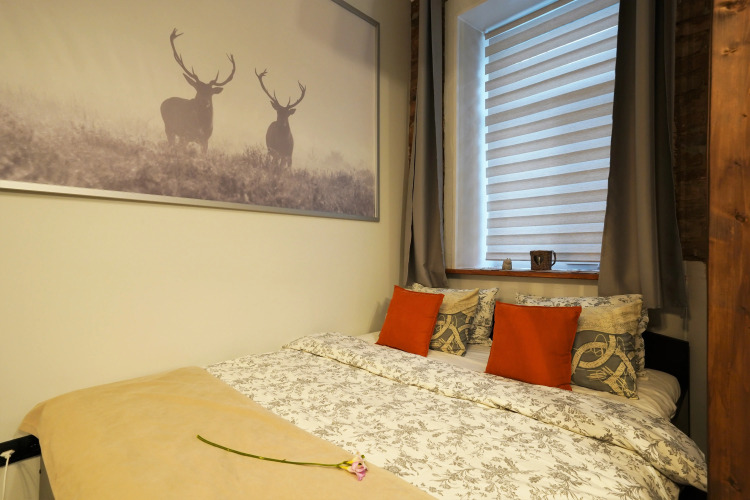 Фотография номера квартиры Апартаменты Alpine Castle