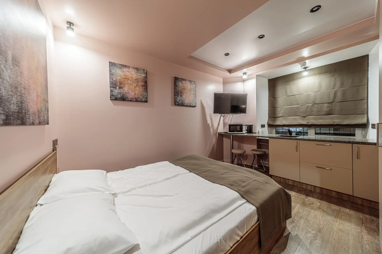 Фотография номера квартиры Апартаменты лофт квартиры Struni