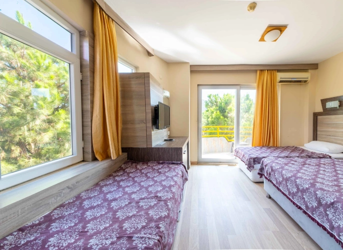 Standard room with balcony and with mountain view