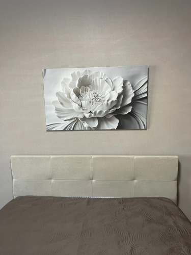 Фотография номера квартиры Квартира Красноармейский 106А