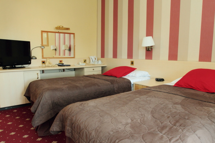 Standard Twin room with view