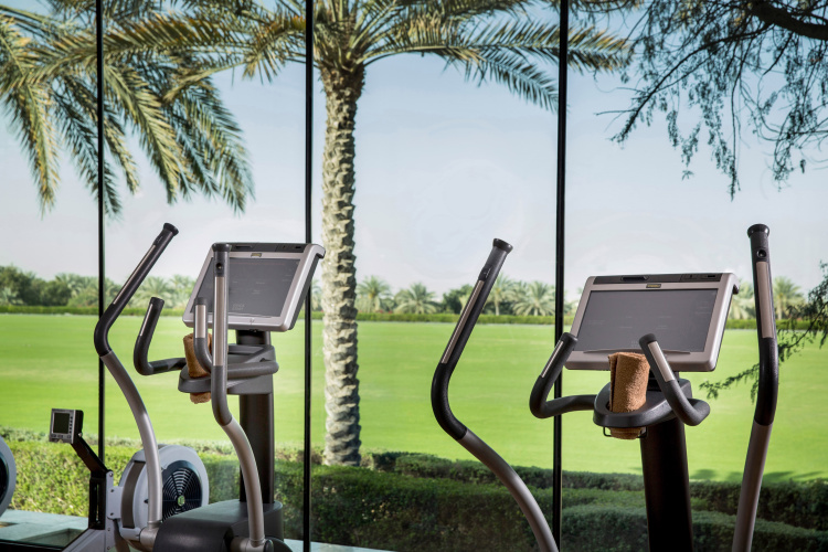 Melia Desert Palm Member Of Melia Collection photo 21