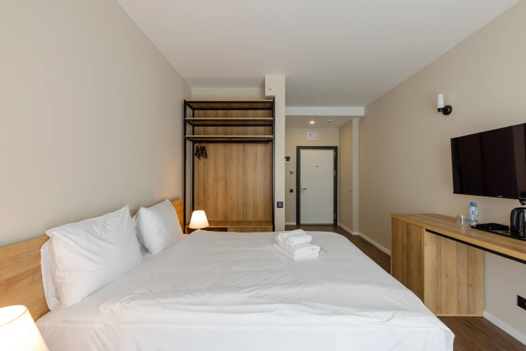 Standard Double room with balcony and with sea view
