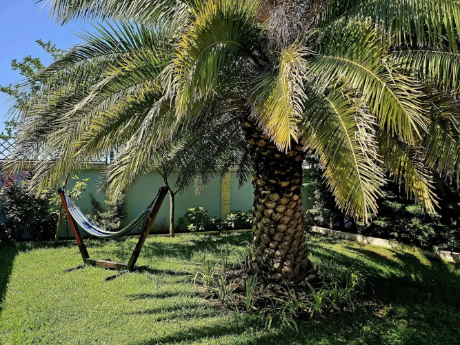 Dachis Villa