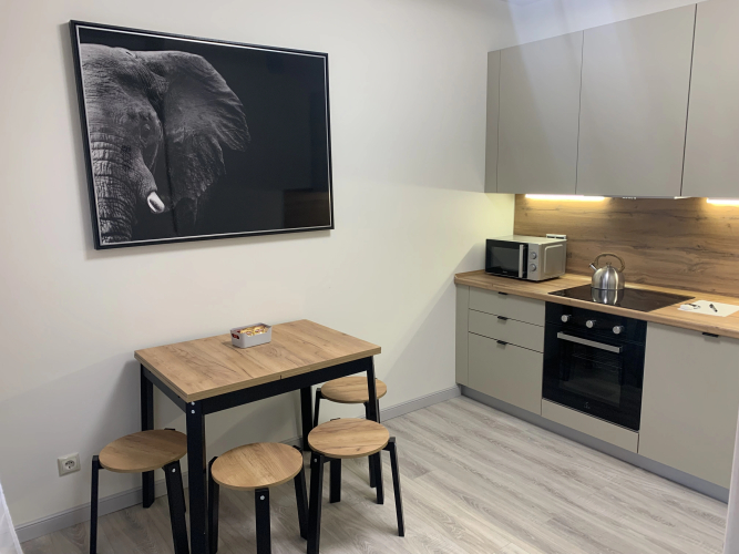 Фотография номера квартиры Квартира однокомнатная Рождественская 2