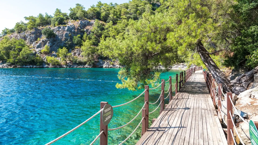 Hillside Beach Club