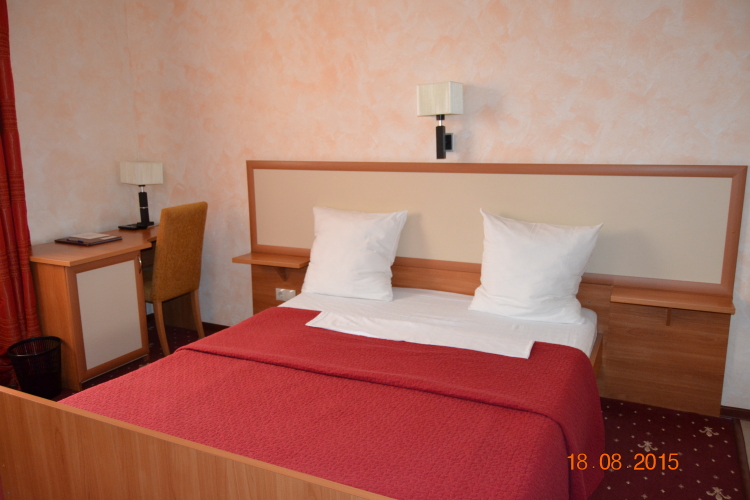 Фотография номера гостиницы Дружба