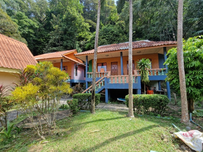 Deluxe Bungalow with balcony and with mountain view