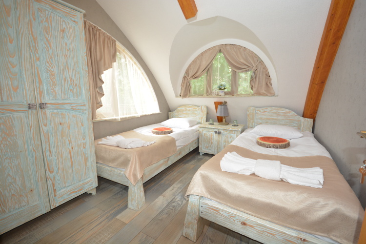 Standard Twin room with view