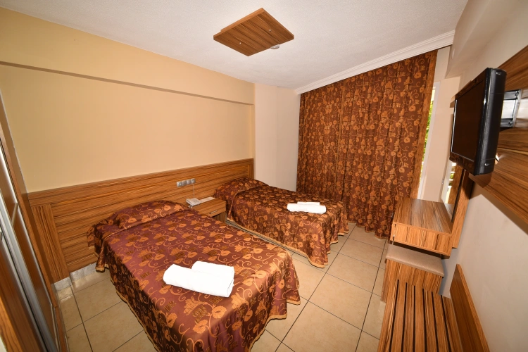 Standard Double room with balcony and with view
