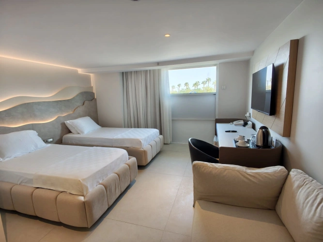 Standard Twin room with city view