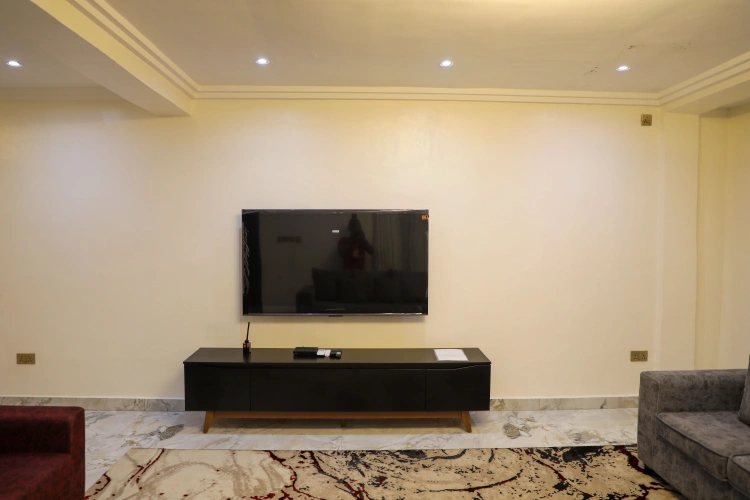 Luxury Apartment