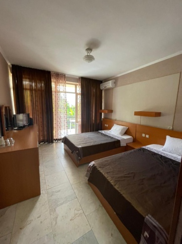 Standard Double room with balcony and with view