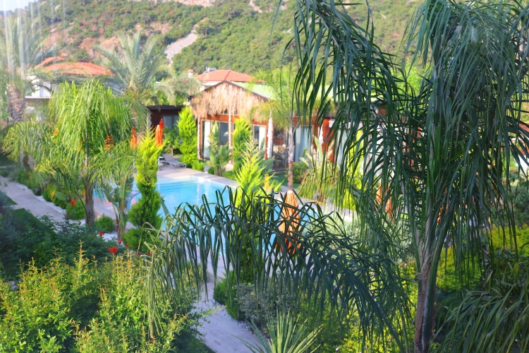 Luxury Villa