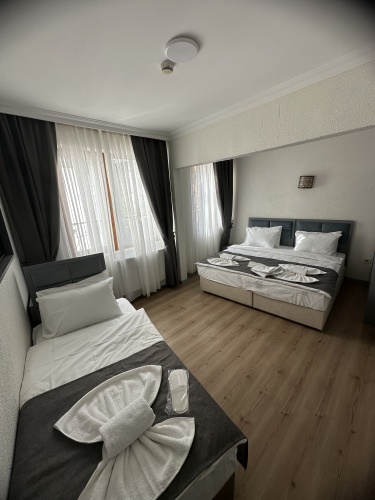 Standard Triple room with view