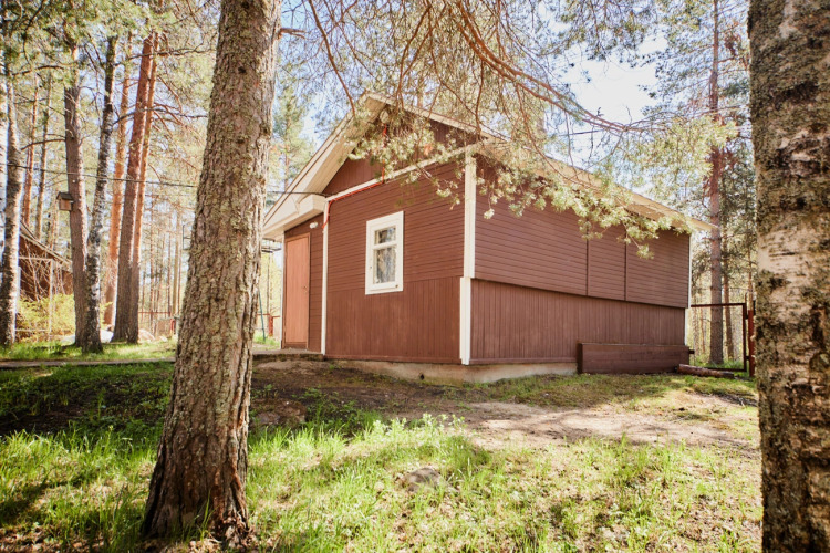 Фотография номера гостевого дома Царевичи