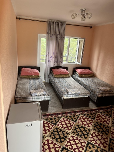 Economy Triple room with balcony and with view