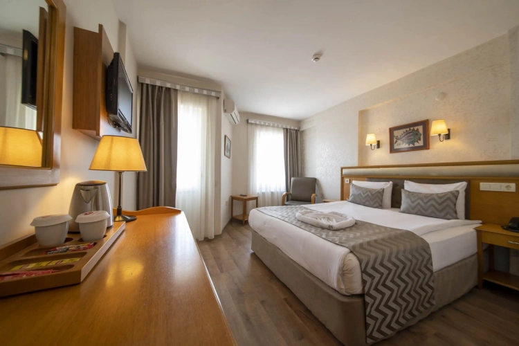 Standard Double room with balcony and with view