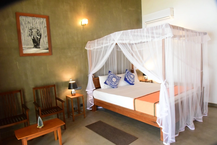 1 Bedroom Deluxe Villa with balcony