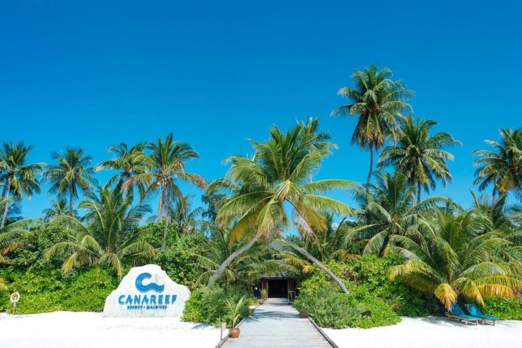 Canareef Resort Maldives photo 15