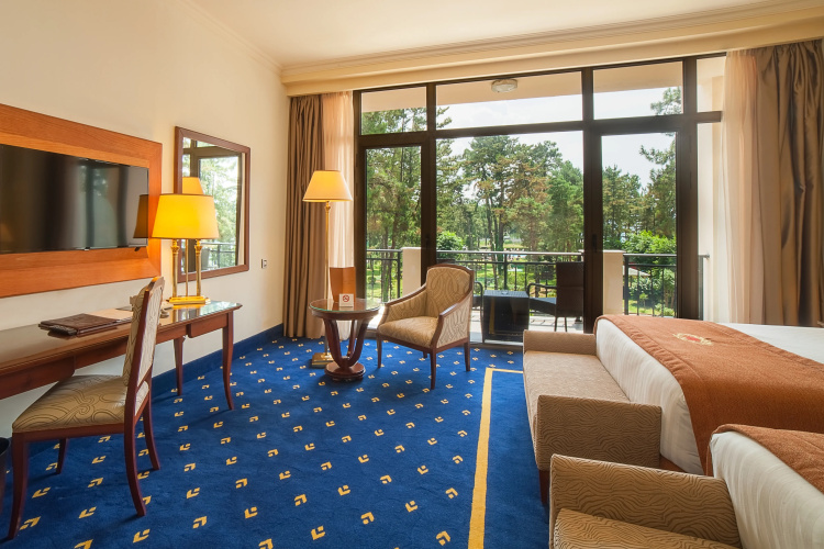 Georgia Palace Hotel & SPA