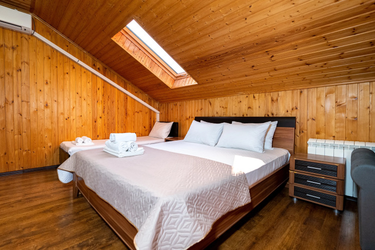 Фотография номера гостиницы Парк-Отель Папайя