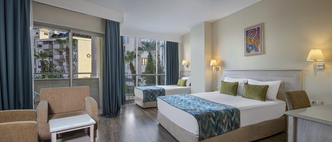 Standard Large Double room with balcony and with view