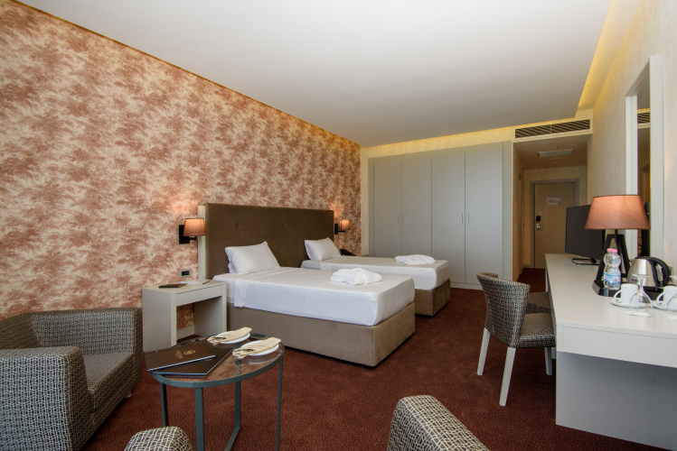 Standard Twin room with city view