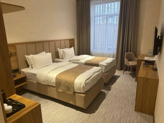 Superior Twin room with city view