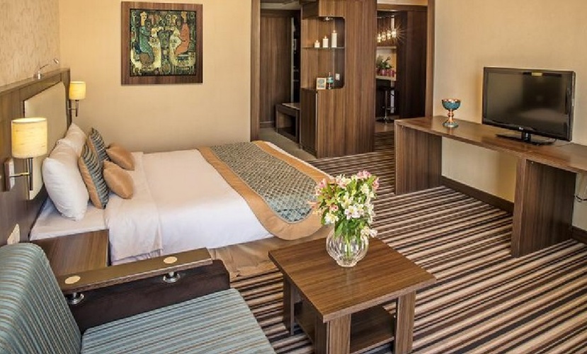 Standard Double room with balcony and with view