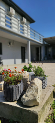 Fenix Guest House