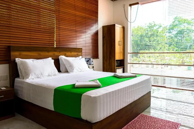 Deluxe Double room with balcony and with view