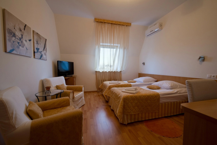 Фотография номера гостиницы Интермашотель