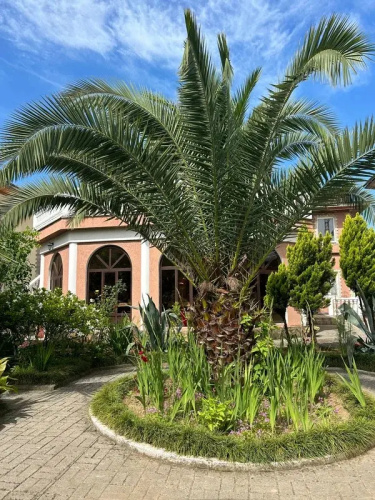 Guest house Deni Delmar