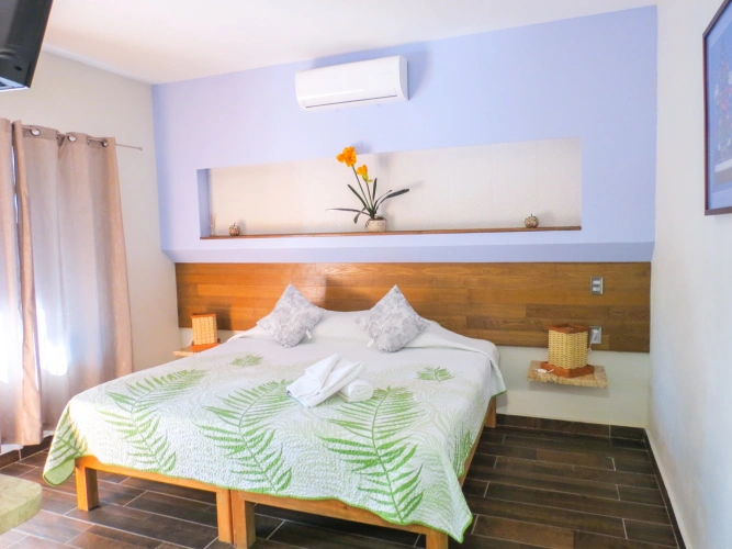 Superior Double Suite