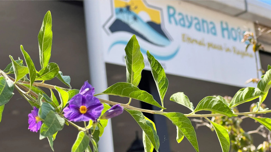 Rayana Hotel