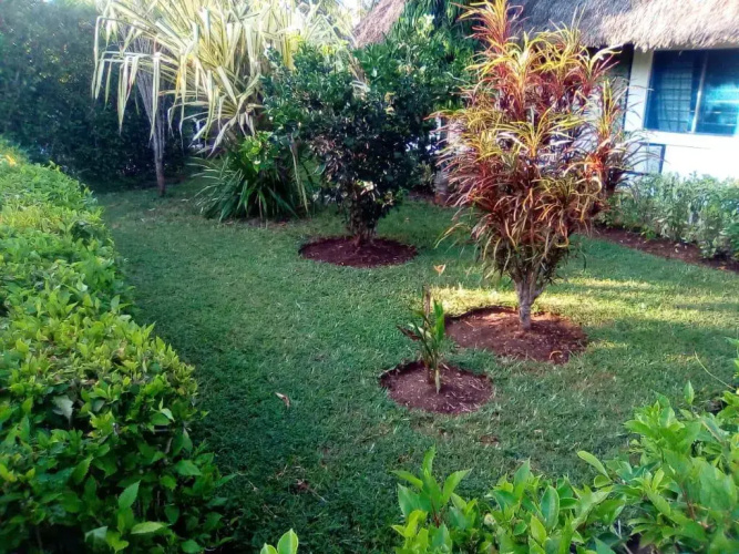 Dora Villa