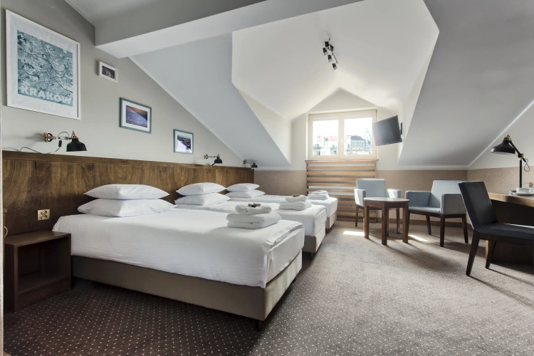 Classic Triple room with city view