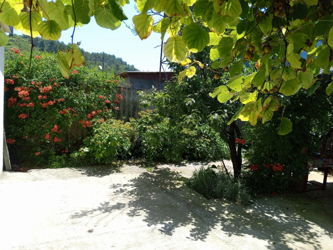 Rassvet Guest House