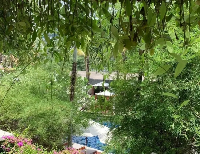 2 Bedrooms Apartment with balcony and with pool view