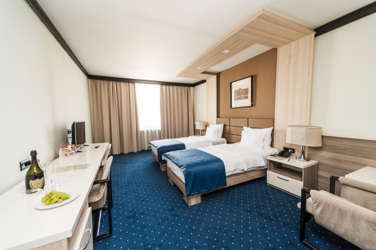 Standard Twin room with view