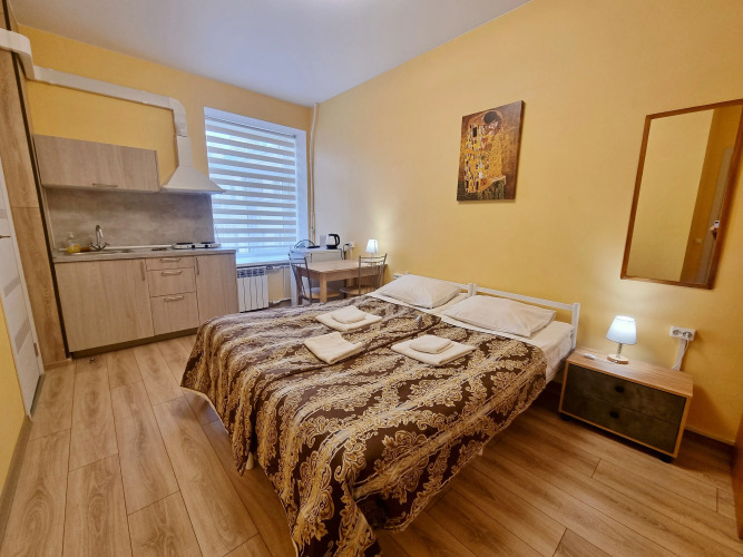 Фотография номера гостиницы Большой 45