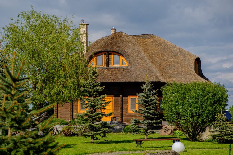 Фотография номера базы отдыха Три Медведя