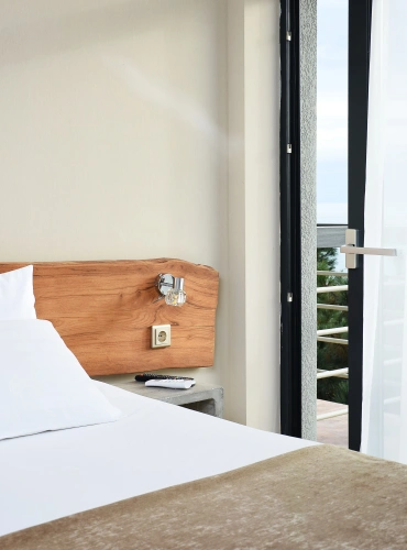 Standard room with balcony and with view